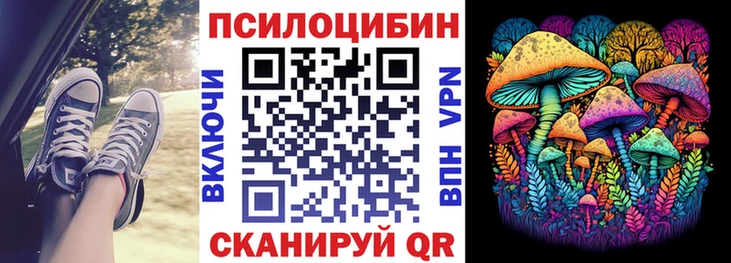 дарнет шоп  Весьегонск  Галлюциногенные грибы Magic Shrooms 